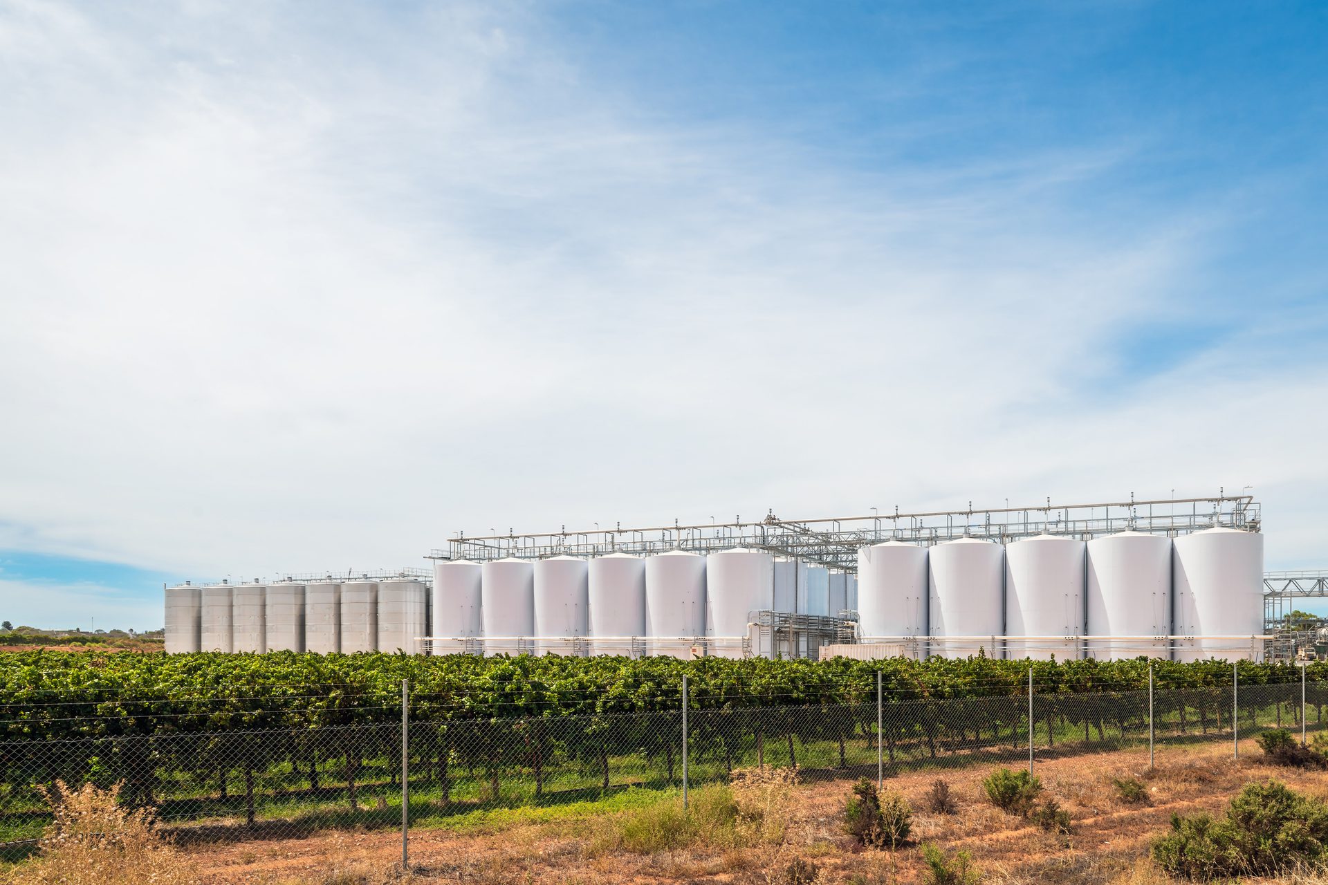 Outdoor tank farm beside a vineyard